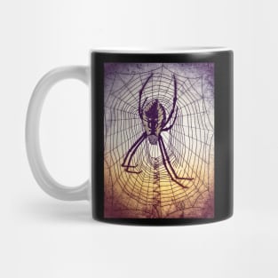 Spider Web in grunge Mug